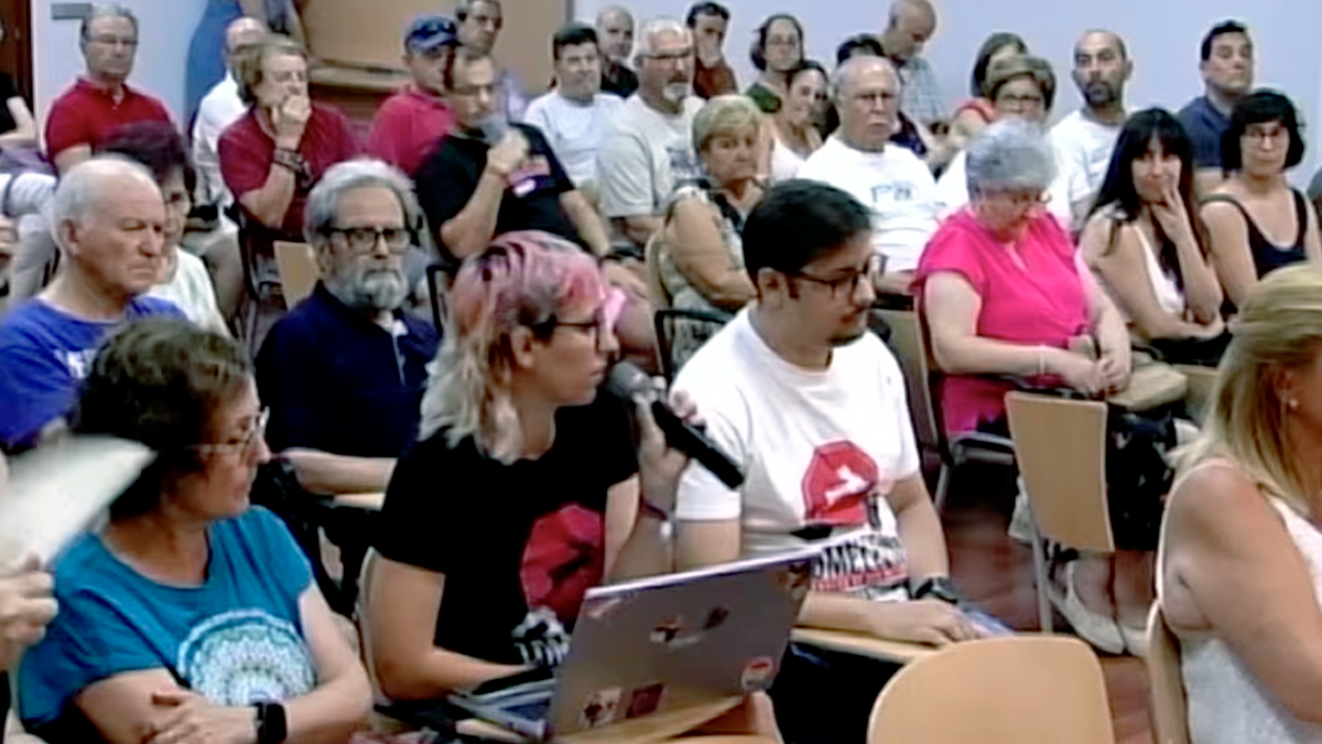 Intervención de la plataforma en la comparecencia del alcalde