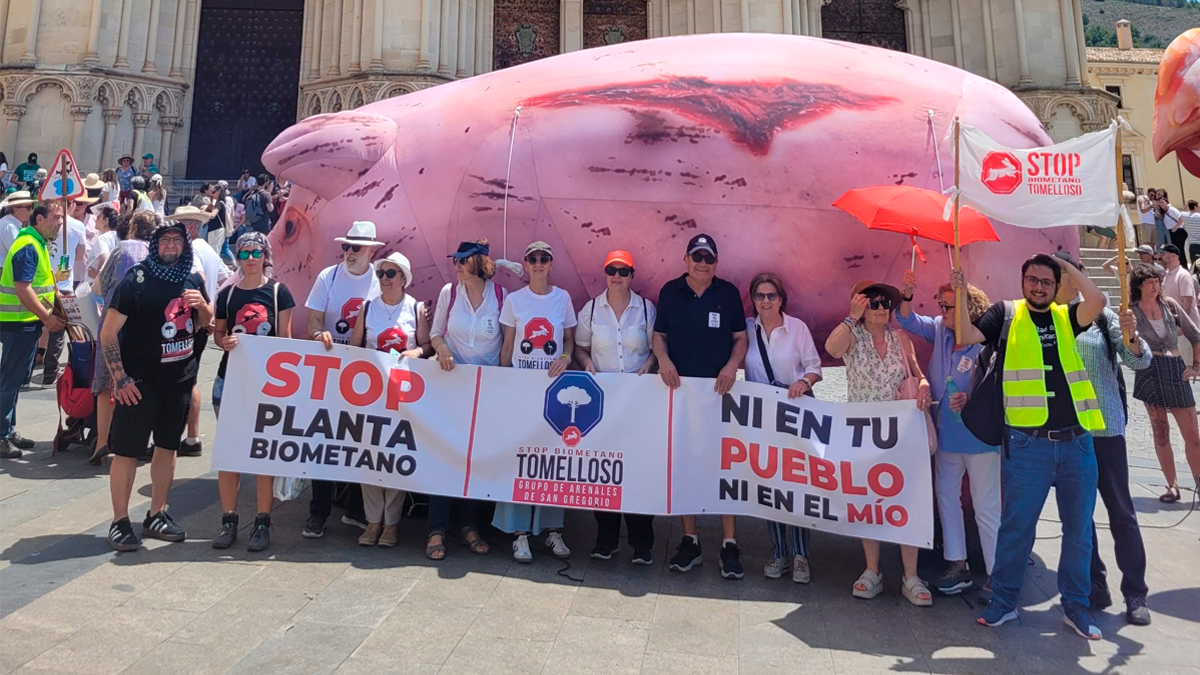 Vecinos de Tomelloso, Arenales y Pedro Muñoz en la manifestación del 31 de mayo en Cuenca